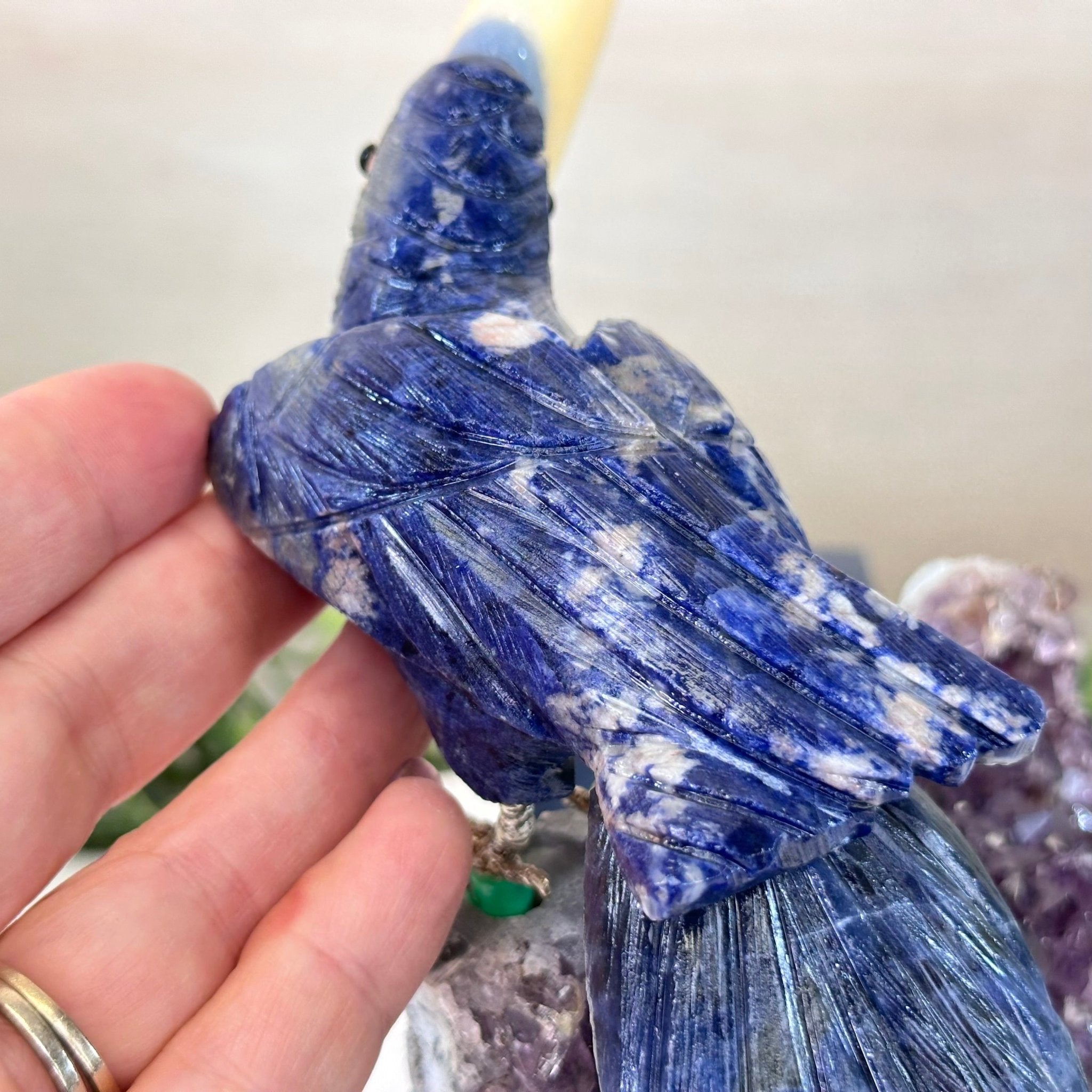 Large Hand - Carved Sodalite Toucan Bird w/ Amethyst Base, 7.8" Tall #3004 - SOTAM - 054 - Brazil GemsBrazil GemsLarge Hand - Carved Sodalite Toucan Bird w/ Amethyst Base, 7.8" Tall #3004 - SOTAM - 054Crystal Birds3004 - SOTAM - 054