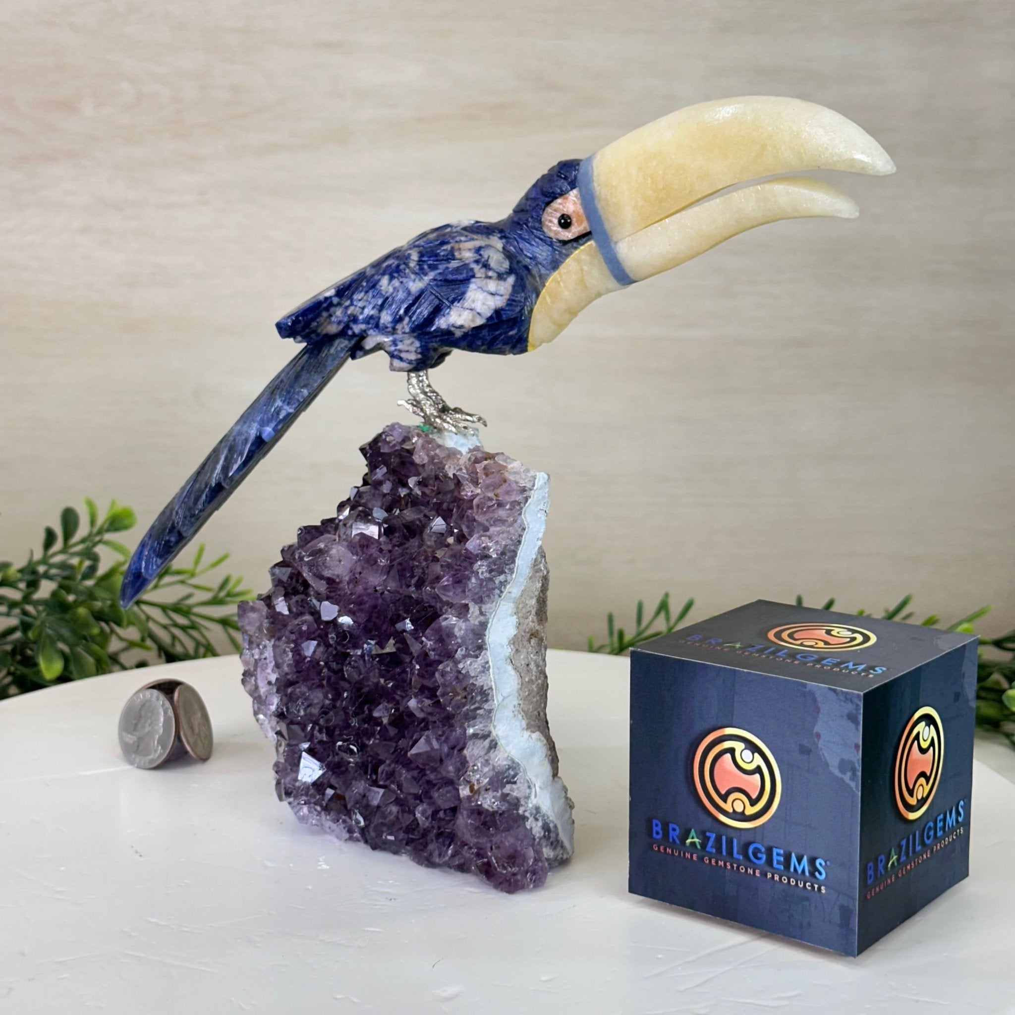 Large Hand - Carved Sodalite Toucan Bird w/ Amethyst Base, 7.8" Tall #3004 - SOTAM - 054 - Brazil GemsBrazil GemsLarge Hand - Carved Sodalite Toucan Bird w/ Amethyst Base, 7.8" Tall #3004 - SOTAM - 054Crystal Birds3004 - SOTAM - 054