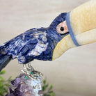 Large Hand - Carved Sodalite Toucan Bird w/ Amethyst Base, 7.8" Tall #3004 - SOTAM - 054 - Brazil GemsBrazil GemsLarge Hand - Carved Sodalite Toucan Bird w/ Amethyst Base, 7.8" Tall #3004 - SOTAM - 054Crystal Birds3004 - SOTAM - 054