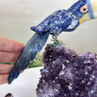 Large Hand - Carved Sodalite Toucan Bird w/ Amethyst Base, 7.8" Tall #3004 - SOTAM - 054 - Brazil GemsBrazil GemsLarge Hand - Carved Sodalite Toucan Bird w/ Amethyst Base, 7.8" Tall #3004 - SOTAM - 054Crystal Birds3004 - SOTAM - 054