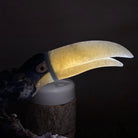 Large Hand - Carved Sodalite Toucan Bird w/ Amethyst Base, 7.8" Tall #3004 - SOTAM - 054 - Brazil GemsBrazil GemsLarge Hand - Carved Sodalite Toucan Bird w/ Amethyst Base, 7.8" Tall #3004 - SOTAM - 054Crystal Birds3004 - SOTAM - 054