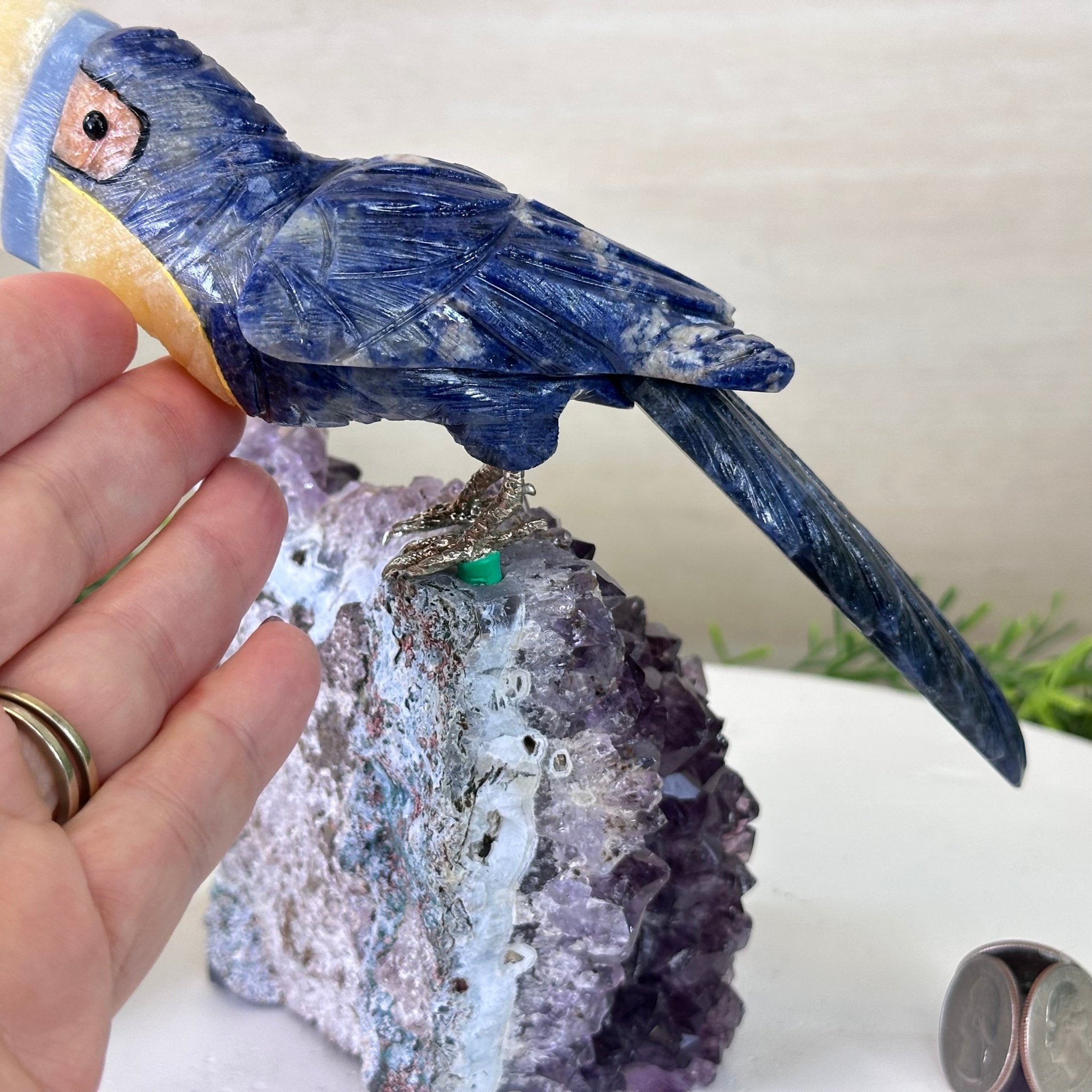 Large Hand - Carved Sodalite Toucan Bird w/ Amethyst Base, 7.8" Tall #3004 - SOTAM - 054 - Brazil GemsBrazil GemsLarge Hand - Carved Sodalite Toucan Bird w/ Amethyst Base, 7.8" Tall #3004 - SOTAM - 054Crystal Birds3004 - SOTAM - 054