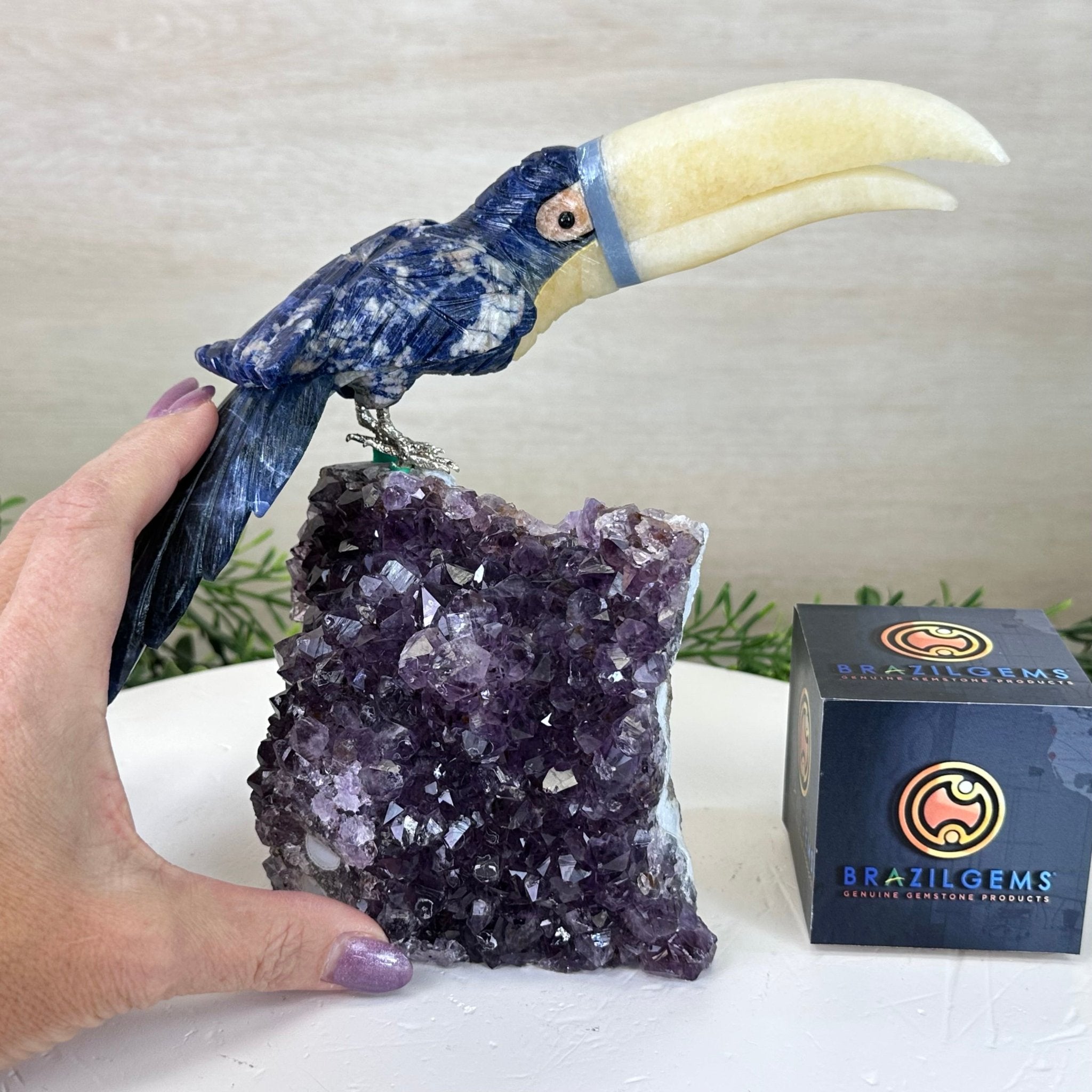 Large Hand - Carved Sodalite Toucan Bird w/ Amethyst Base, 7.8" Tall #3004 - SOTAM - 054 - Brazil GemsBrazil GemsLarge Hand - Carved Sodalite Toucan Bird w/ Amethyst Base, 7.8" Tall #3004 - SOTAM - 054Crystal Birds3004 - SOTAM - 054