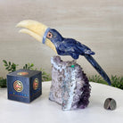 Large Hand - Carved Sodalite Toucan Bird w/ Amethyst Base, 7.8" Tall #3004 - SOTAM - 054 - Brazil GemsBrazil GemsLarge Hand - Carved Sodalite Toucan Bird w/ Amethyst Base, 7.8" Tall #3004 - SOTAM - 054Crystal Birds3004 - SOTAM - 054