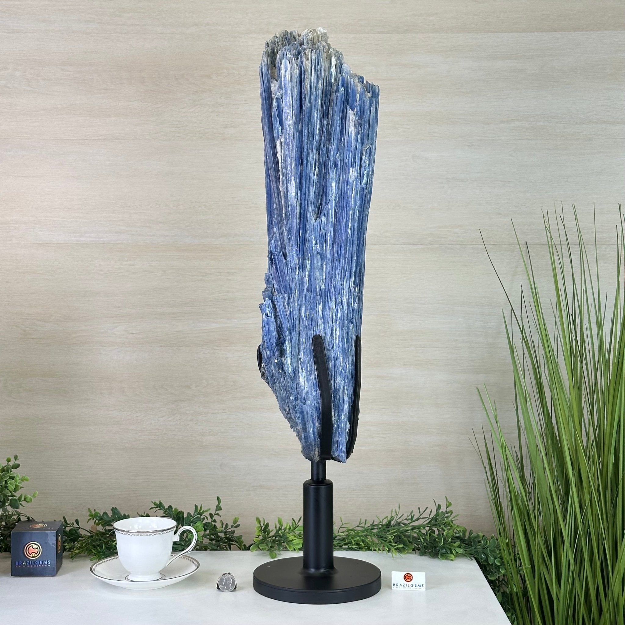Shop Kyanite Clusters - Brazil Gems