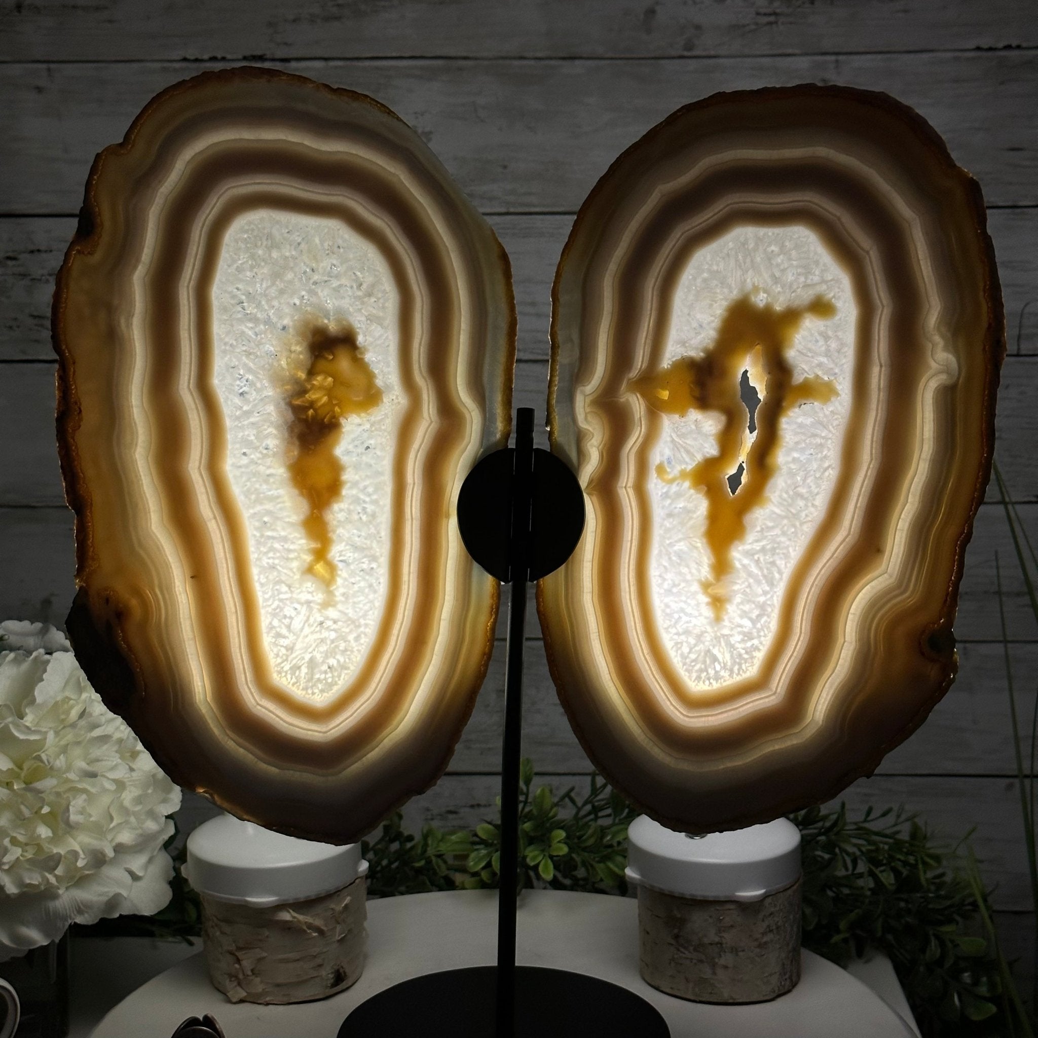 Large Natural Brazilian Agate "Butterfly Wings", Metal Stand, 16.5" Tall Model #5050NA-072 by Brazil Gems - Brazil GemsBrazil GemsLarge Natural Brazilian Agate "Butterfly Wings", Metal Stand, 16.5" Tall Model #5050NA-072 by Brazil GemsAgate Butterfly Wings5050NA-072