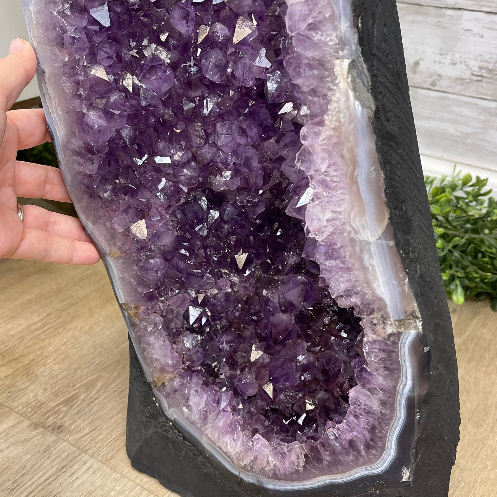 Large Standard Plus Quality Brazilian Amethyst Cathedral, 108 lbs & 55.8" Tall #5601-1202 by Brazil Gems - Brazil GemsBrazil GemsLarge Standard Plus Quality Brazilian Amethyst Cathedral, 108 lbs & 55.8" Tall #5601-1202 by Brazil GemsCathedrals5601-1202