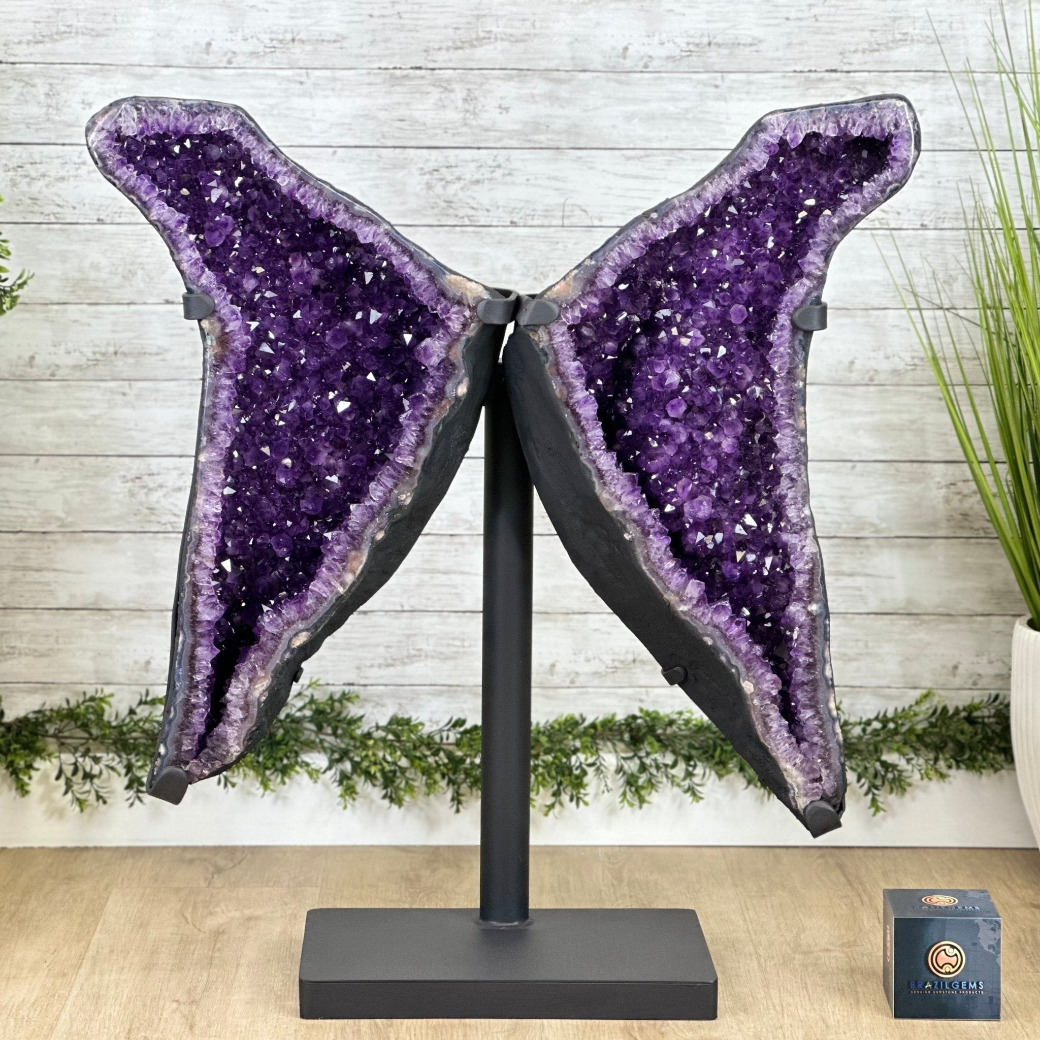 Large Super Quality Amethyst Butterfly Wings, 127.9 lbs & 35" Tall #5493-0047 - Brazil GemsBrazil GemsLarge Super Quality Amethyst Butterfly Wings, 127.9 lbs & 35" Tall #5493-0047Amethyst Butterfly Wings5493-0047