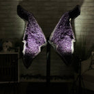 Large Super Quality Amethyst Butterfly Wings, 291.1 lbs & 66.3" Tall #5493-0048 - Brazil GemsBrazil GemsLarge Super Quality Amethyst Butterfly Wings, 291.1 lbs & 66.3" Tall #5493-0048Amethyst Butterfly Wings5493-0048