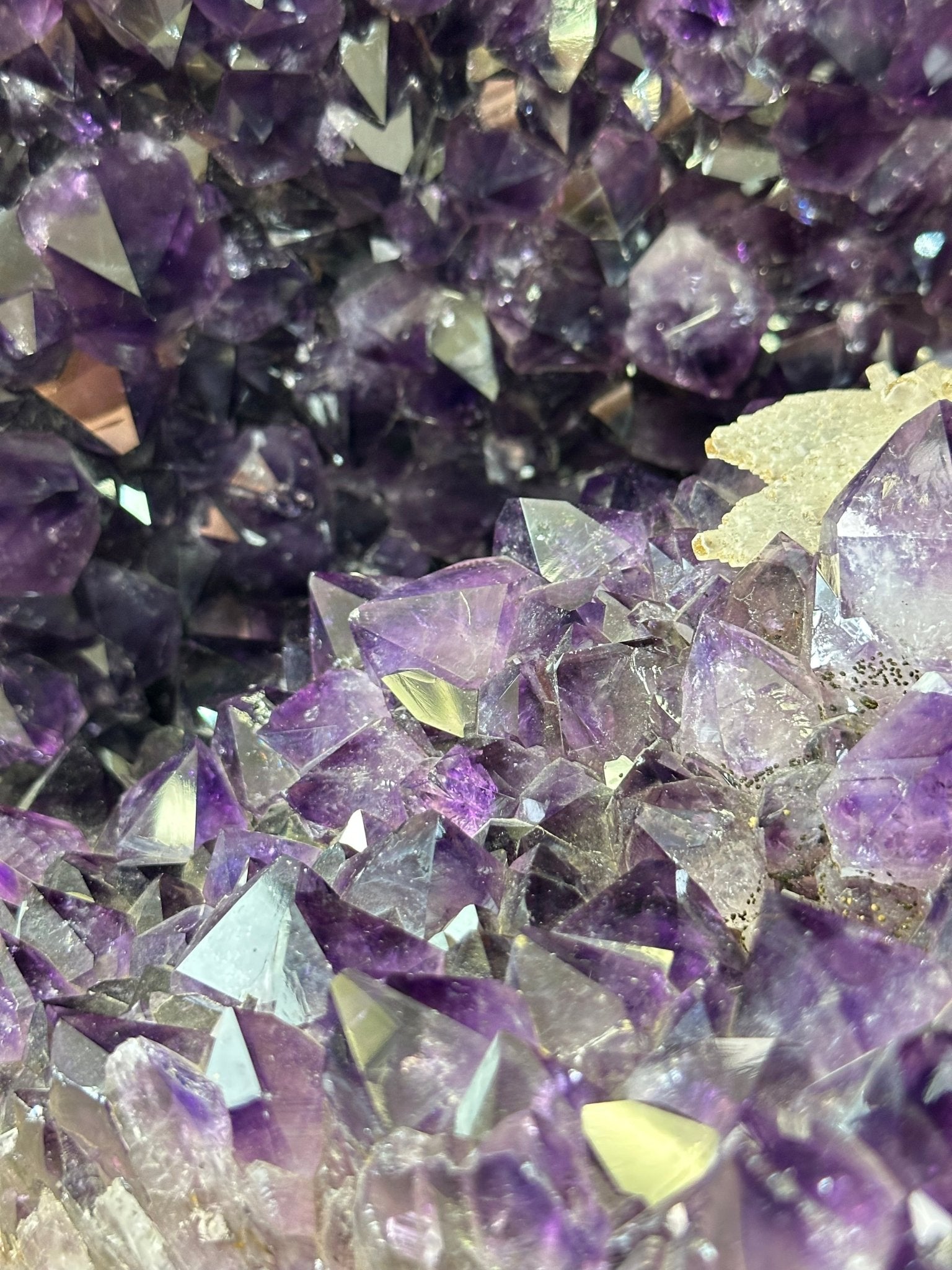 Large Super Quality Amethyst Cluster on Metal Stand, 227.1 lbs & 56.4" Tall #5491 - 0024 - Brazil GemsBrazil GemsLarge Super Quality Amethyst Cluster on Metal Stand, 227.1 lbs & 56.4" Tall #5491 - 0024Clusters on Fixed Bases5491 - 0024
