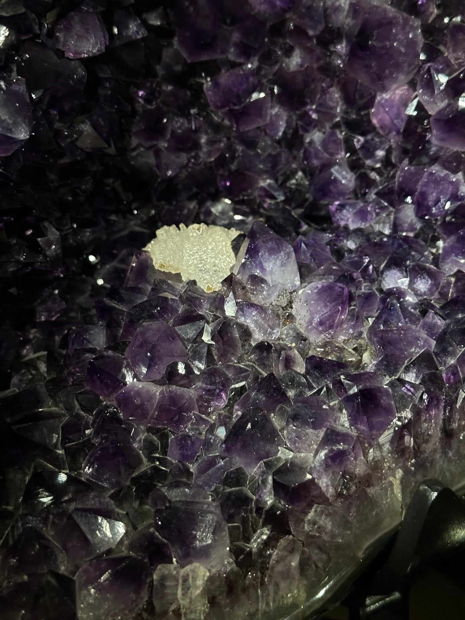 Large Super Quality Amethyst Cluster on Metal Stand, 227.1 lbs & 56.4" Tall #5491 - 0024 - Brazil GemsBrazil GemsLarge Super Quality Amethyst Cluster on Metal Stand, 227.1 lbs & 56.4" Tall #5491 - 0024Clusters on Fixed Bases5491 - 0024