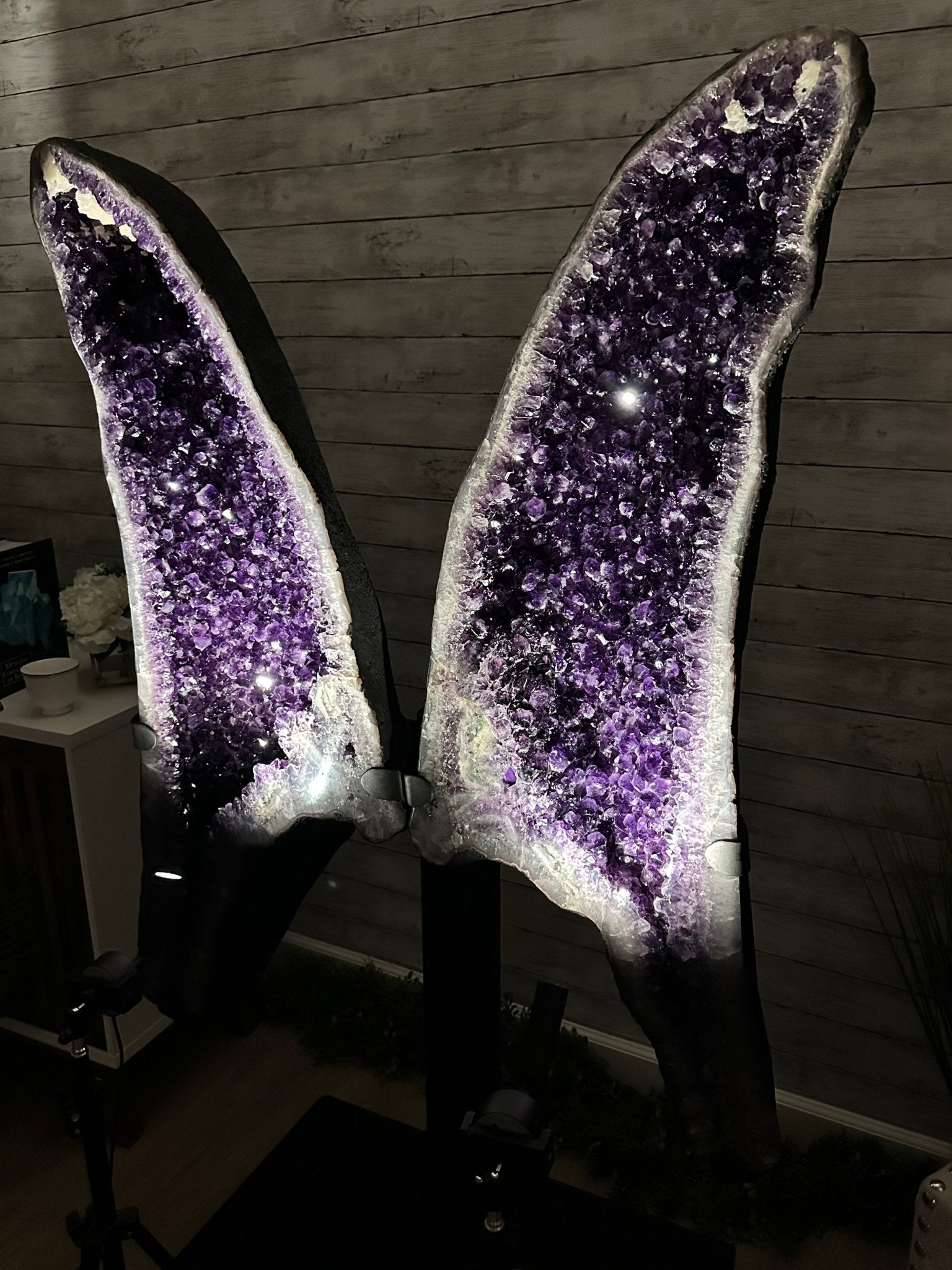 Large Super Quality Amethyst Wings on a Metal Stand, 337 lbs, 63" Tall #5493-0038 - Brazil GemsBrazil GemsLarge Super Quality Amethyst Wings on a Metal Stand, 337 lbs, 63" Tall #5493-0038Amethyst Butterfly Wings5493-0038