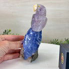 Medium Hand - Carved Amethyst Parrot on a White Calcite Base, 6.5" Tall #3003 - AMPWC - 020 - Brazil GemsBrazil GemsMedium Hand - Carved Amethyst Parrot on a White Calcite Base, 6.5" Tall #3003 - AMPWC - 020Crystal Birds3003 - AMPWC - 020