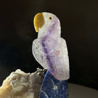 Medium Hand - Carved Amethyst Parrot on a White Calcite Base, 6.5" Tall #3003 - AMPWC - 020 - Brazil GemsBrazil GemsMedium Hand - Carved Amethyst Parrot on a White Calcite Base, 6.5" Tall #3003 - AMPWC - 020Crystal Birds3003 - AMPWC - 020