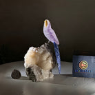 Medium Hand - Carved Amethyst Parrot on a White Calcite Base, 6.5" Tall #3003 - AMPWC - 020 - Brazil GemsBrazil GemsMedium Hand - Carved Amethyst Parrot on a White Calcite Base, 6.5" Tall #3003 - AMPWC - 020Crystal Birds3003 - AMPWC - 020