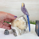 Medium Hand - Carved Amethyst Parrot on a White Calcite Base, 6.5" Tall #3003 - AMPWC - 020 - Brazil GemsBrazil GemsMedium Hand - Carved Amethyst Parrot on a White Calcite Base, 6.5" Tall #3003 - AMPWC - 020Crystal Birds3003 - AMPWC - 020