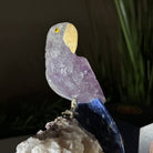 Medium Hand - Carved Amethyst Parrot on a White Calcite Base, 6.5" Tall #3003 - AMPWC - 020 - Brazil GemsBrazil GemsMedium Hand - Carved Amethyst Parrot on a White Calcite Base, 6.5" Tall #3003 - AMPWC - 020Crystal Birds3003 - AMPWC - 020