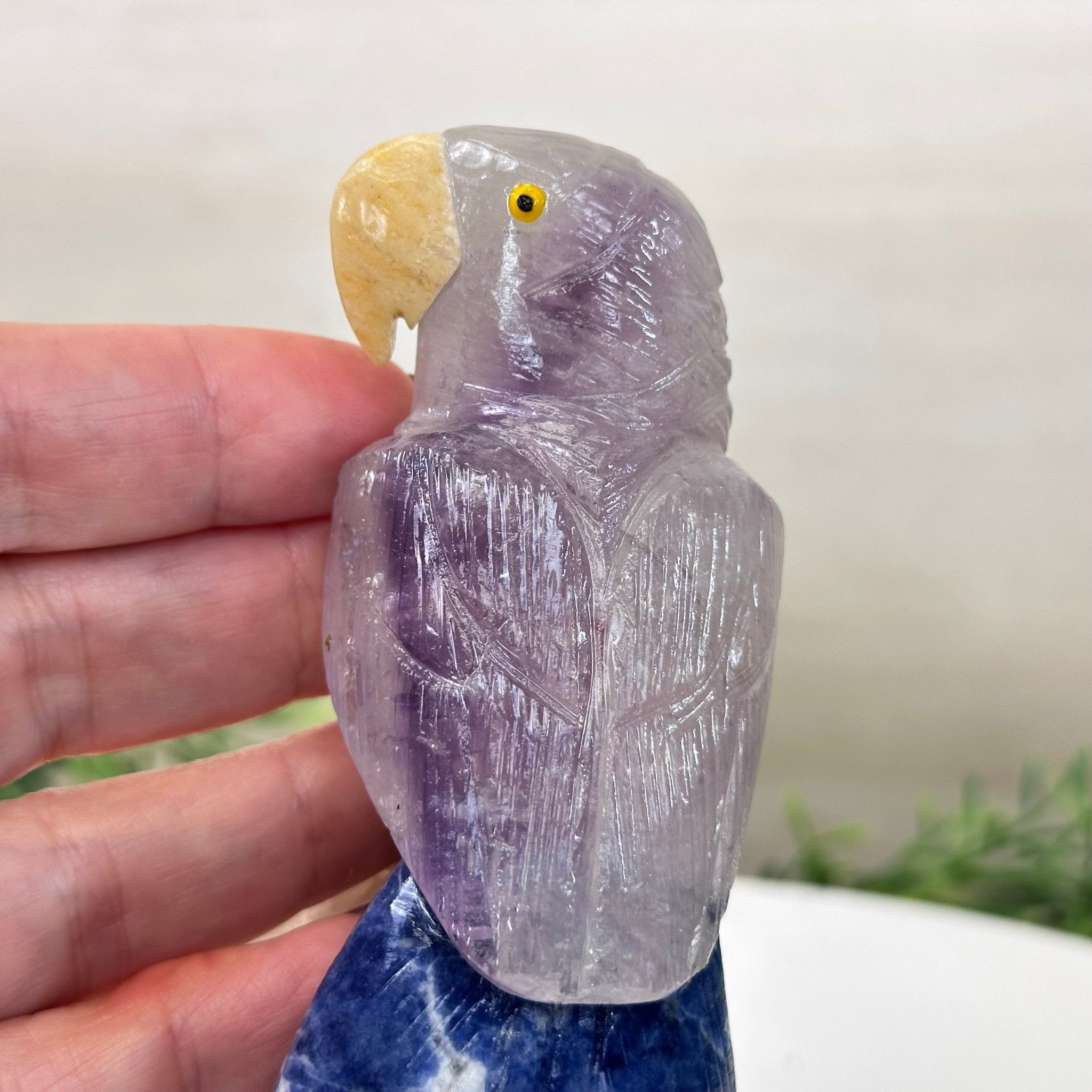 Medium Hand - Carved Amethyst Parrot on a White Calcite Base, 6.5" Tall #3003 - AMPWC - 020 - Brazil GemsBrazil GemsMedium Hand - Carved Amethyst Parrot on a White Calcite Base, 6.5" Tall #3003 - AMPWC - 020Crystal Birds3003 - AMPWC - 020