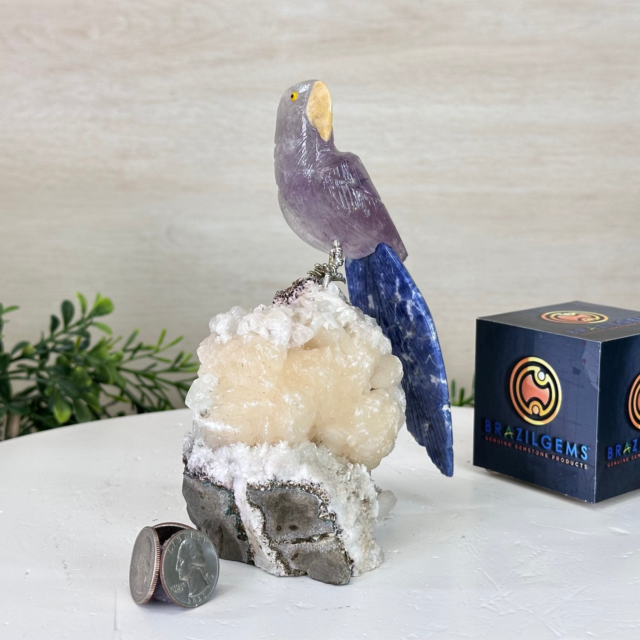 Medium Hand - Carved Amethyst Parrot on a White Calcite Base, 6.5" Tall #3003 - AMPWC - 020 - Brazil GemsBrazil GemsMedium Hand - Carved Amethyst Parrot on a White Calcite Base, 6.5" Tall #3003 - AMPWC - 020Crystal Birds3003 - AMPWC - 020