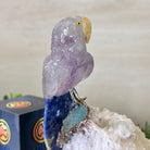 Medium Hand - Carved Amethyst Parrot on a White Calcite Base, 6.5" Tall #3003 - AMPWC - 020 - Brazil GemsBrazil GemsMedium Hand - Carved Amethyst Parrot on a White Calcite Base, 6.5" Tall #3003 - AMPWC - 020Crystal Birds3003 - AMPWC - 020