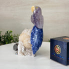 Medium Hand - Carved Amethyst Parrot on a White Calcite Base, 6.5" Tall #3003 - AMPWC - 020 - Brazil GemsBrazil GemsMedium Hand - Carved Amethyst Parrot on a White Calcite Base, 6.5" Tall #3003 - AMPWC - 020Crystal Birds3003 - AMPWC - 020