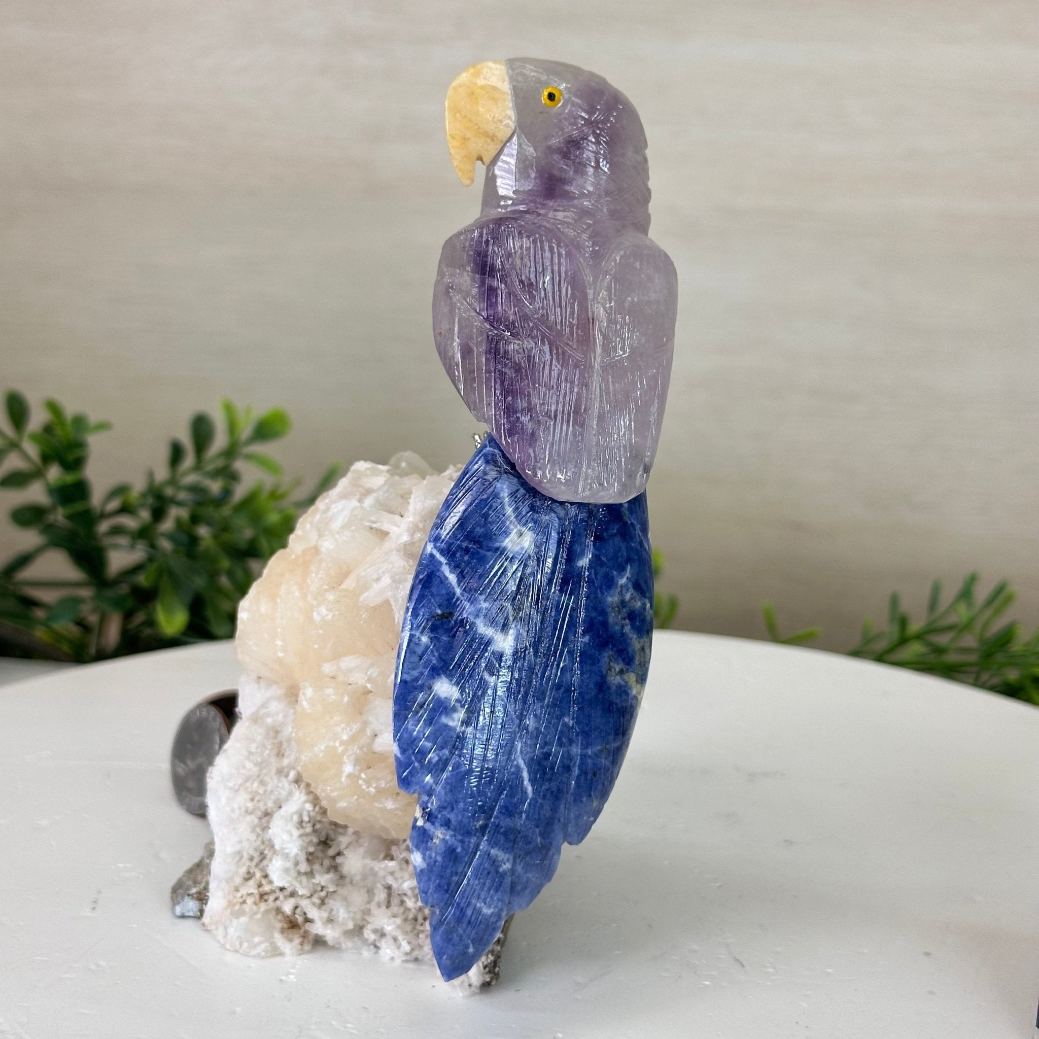 Medium Hand - Carved Amethyst Parrot on a White Calcite Base, 6.5" Tall #3003 - AMPWC - 020 - Brazil GemsBrazil GemsMedium Hand - Carved Amethyst Parrot on a White Calcite Base, 6.5" Tall #3003 - AMPWC - 020Crystal Birds3003 - AMPWC - 020