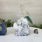 Medium Hand - Carved Clear Quartz Parrot on a Clear Quartz Base, 6.5" Tall #3003 - CQPCQ - 019 - Brazil GemsBrazil GemsMedium Hand - Carved Clear Quartz Parrot on a Clear Quartz Base, 6.5" Tall #3003 - CQPCQ - 019Crystal Birds3003 - CQPCQ - 019