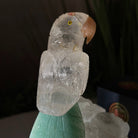 Medium Hand - Carved Clear Quartz Parrot on a Clear Quartz Base, 6.5" Tall #3003 - CQPCQ - 019 - Brazil GemsBrazil GemsMedium Hand - Carved Clear Quartz Parrot on a Clear Quartz Base, 6.5" Tall #3003 - CQPCQ - 019Crystal Birds3003 - CQPCQ - 019