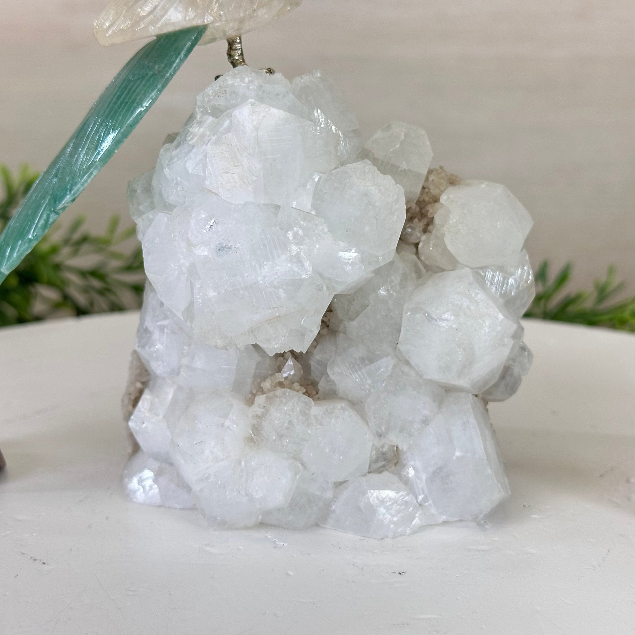 Medium Hand - Carved Clear Quartz Parrot on a Clear Quartz Base, 6.5" Tall #3003 - CQPCQ - 019 - Brazil GemsBrazil GemsMedium Hand - Carved Clear Quartz Parrot on a Clear Quartz Base, 6.5" Tall #3003 - CQPCQ - 019Crystal Birds3003 - CQPCQ - 019