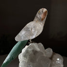 Medium Hand - Carved Clear Quartz Parrot on a Clear Quartz Base, 6.5" Tall #3003 - CQPCQ - 019 - Brazil GemsBrazil GemsMedium Hand - Carved Clear Quartz Parrot on a Clear Quartz Base, 6.5" Tall #3003 - CQPCQ - 019Crystal Birds3003 - CQPCQ - 019