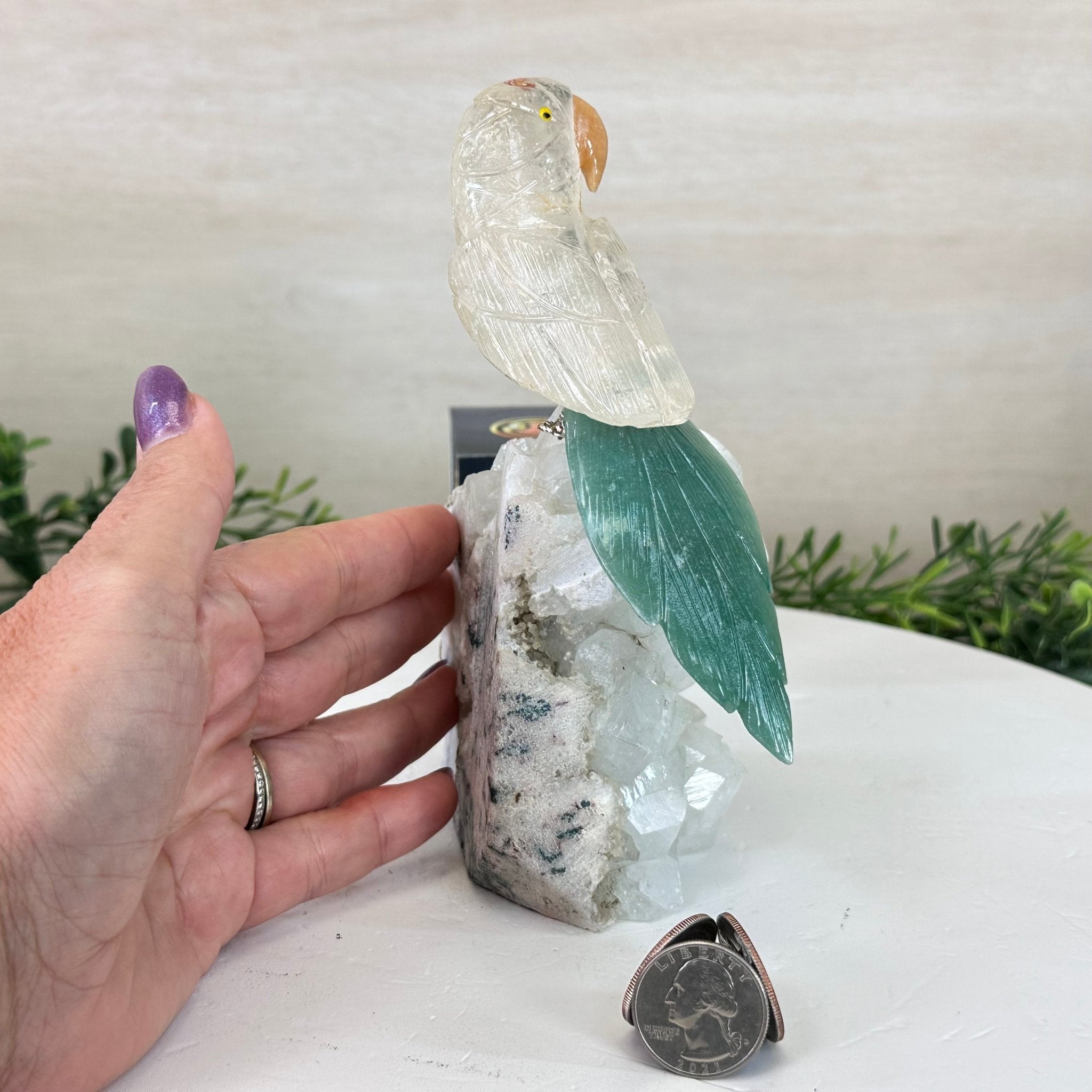 Medium Hand - Carved Clear Quartz Parrot on a Clear Quartz Base, 6.5" Tall #3003 - CQPCQ - 019 - Brazil GemsBrazil GemsMedium Hand - Carved Clear Quartz Parrot on a Clear Quartz Base, 6.5" Tall #3003 - CQPCQ - 019Crystal Birds3003 - CQPCQ - 019