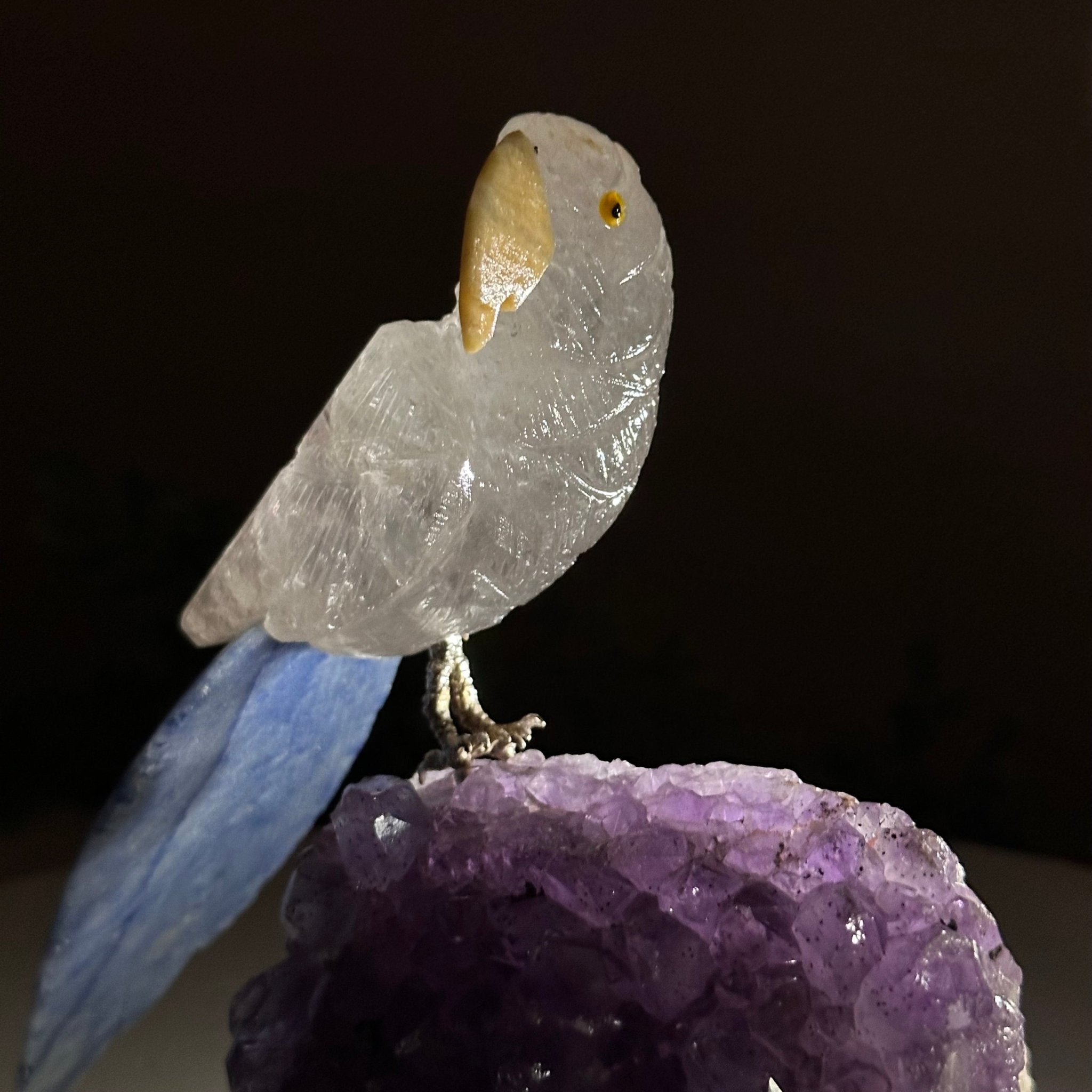 Medium Hand - Carved Clear Quartz Parrot on an Amethyst Base, 5.8" Tall #3003 - CQPAM - 017 - Brazil GemsBrazil GemsMedium Hand - Carved Clear Quartz Parrot on an Amethyst Base, 5.8" Tall #3003 - CQPAM - 017Crystal Birds3003 - CQPAM - 017