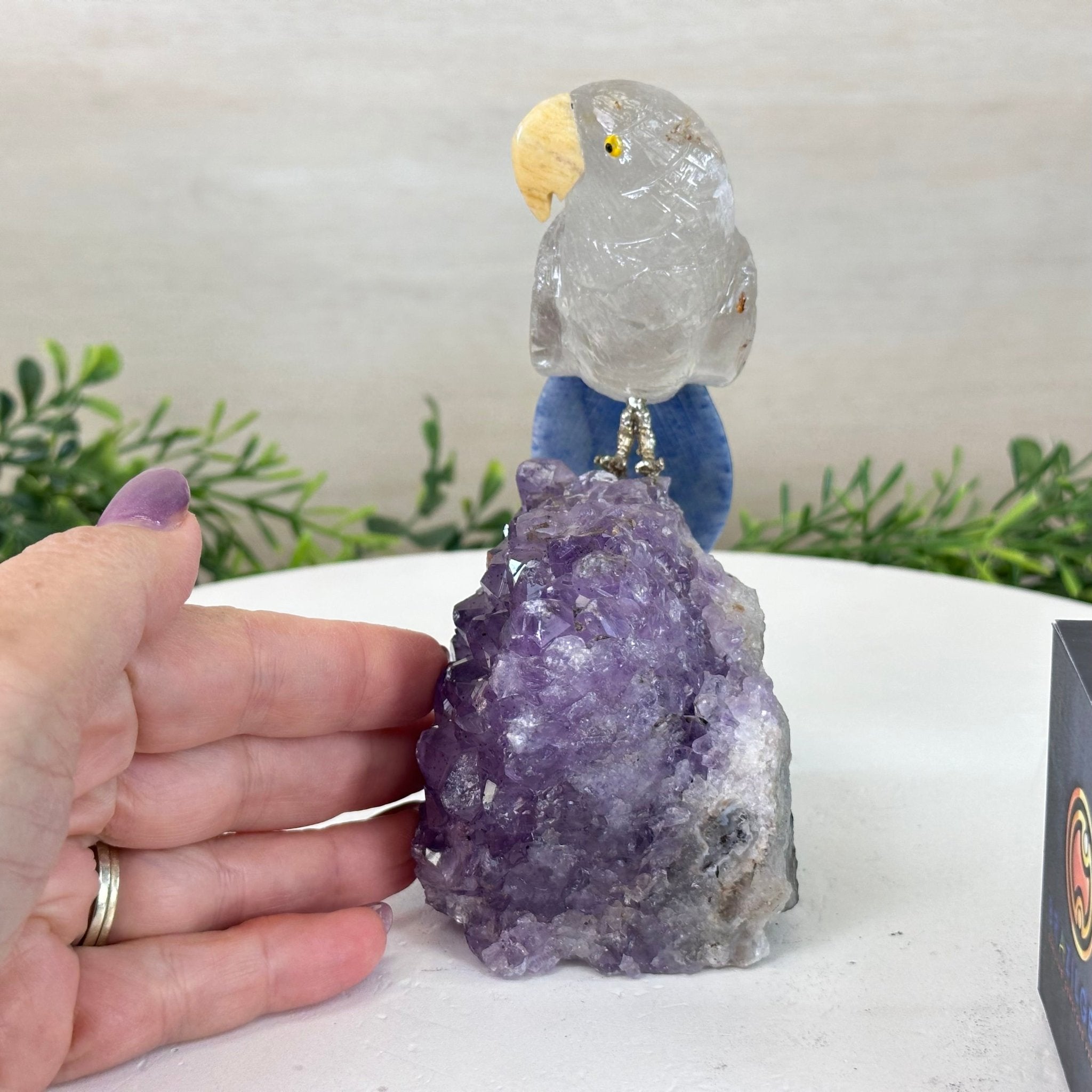 Medium Hand - Carved Clear Quartz Parrot on an Amethyst Base, 5.8" Tall #3003 - CQPAM - 017 - Brazil GemsBrazil GemsMedium Hand - Carved Clear Quartz Parrot on an Amethyst Base, 5.8" Tall #3003 - CQPAM - 017Crystal Birds3003 - CQPAM - 017