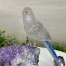 Medium Hand - Carved Clear Quartz Parrot on an Amethyst Base, 5.8" Tall #3003 - CQPAM - 017 - Brazil GemsBrazil GemsMedium Hand - Carved Clear Quartz Parrot on an Amethyst Base, 5.8" Tall #3003 - CQPAM - 017Crystal Birds3003 - CQPAM - 017