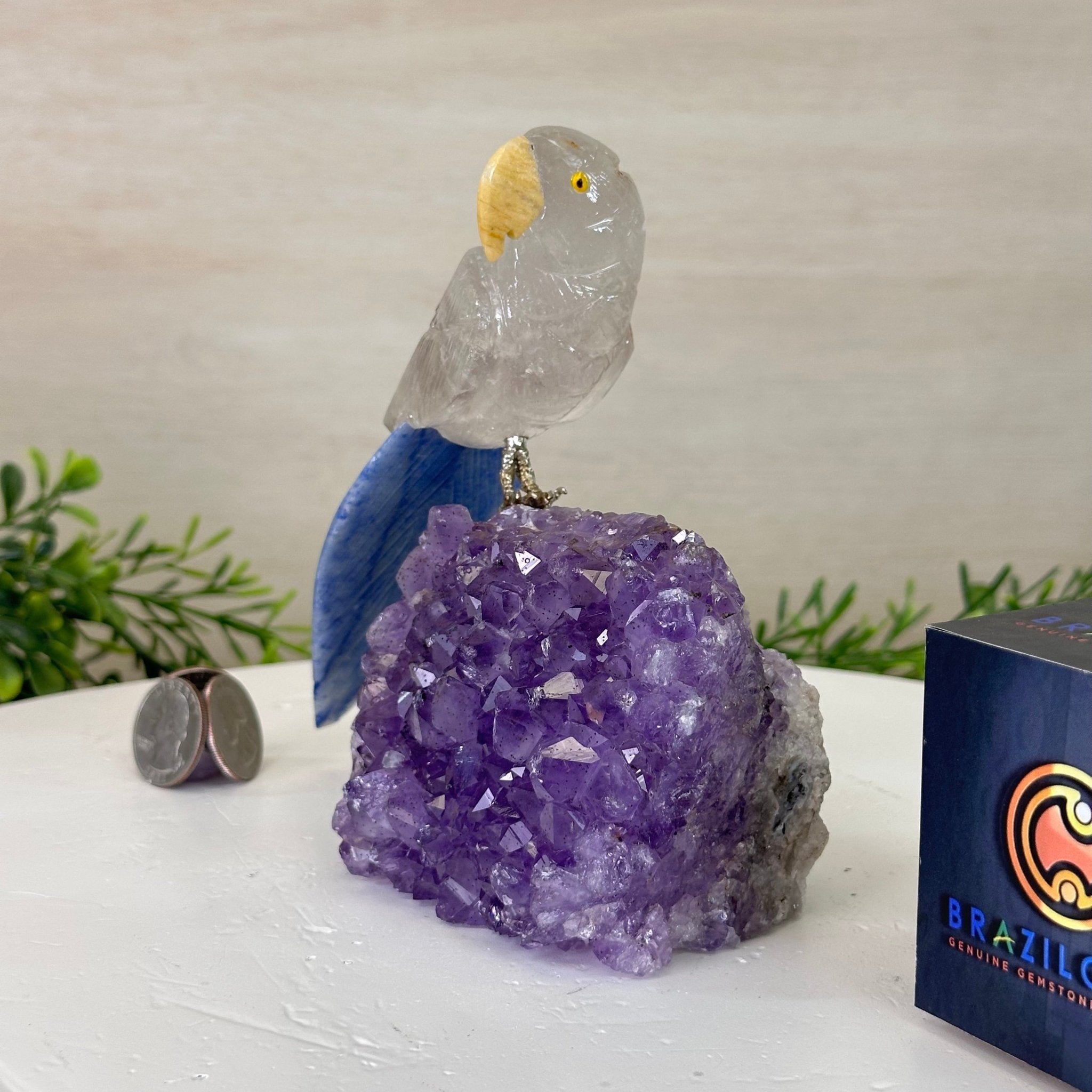 Medium Hand - Carved Clear Quartz Parrot on an Amethyst Base, 5.8" Tall #3003 - CQPAM - 017 - Brazil GemsBrazil GemsMedium Hand - Carved Clear Quartz Parrot on an Amethyst Base, 5.8" Tall #3003 - CQPAM - 017Crystal Birds3003 - CQPAM - 017