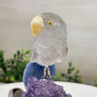 Medium Hand - Carved Clear Quartz Parrot on an Amethyst Base, 5.8" Tall #3003 - CQPAM - 017 - Brazil GemsBrazil GemsMedium Hand - Carved Clear Quartz Parrot on an Amethyst Base, 5.8" Tall #3003 - CQPAM - 017Crystal Birds3003 - CQPAM - 017