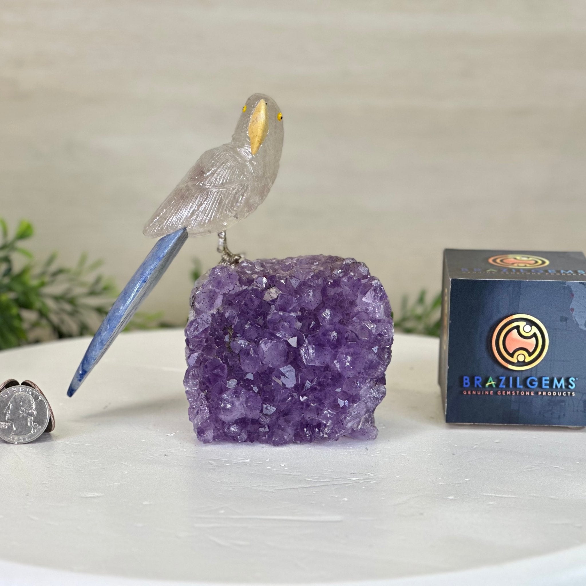 Medium Hand - Carved Clear Quartz Parrot on an Amethyst Base, 5.8" Tall #3003 - CQPAM - 017 - Brazil GemsBrazil GemsMedium Hand - Carved Clear Quartz Parrot on an Amethyst Base, 5.8" Tall #3003 - CQPAM - 017Crystal Birds3003 - CQPAM - 017