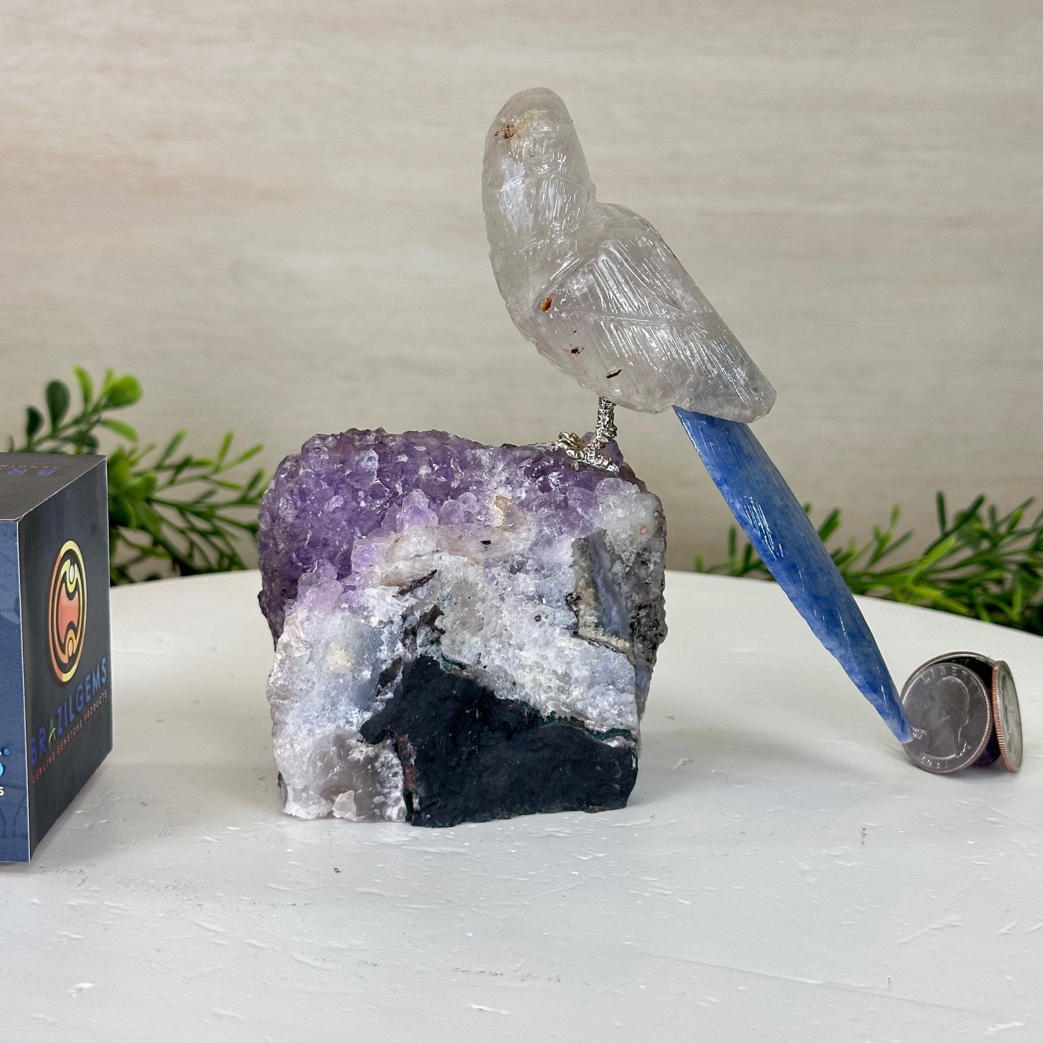 Medium Hand - Carved Clear Quartz Parrot on an Amethyst Base, 5.8" Tall #3003 - CQPAM - 017 - Brazil GemsBrazil GemsMedium Hand - Carved Clear Quartz Parrot on an Amethyst Base, 5.8" Tall #3003 - CQPAM - 017Crystal Birds3003 - CQPAM - 017