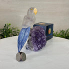 Medium Hand - Carved Clear Quartz Parrot on an Amethyst Base, 5.8" Tall #3003 - CQPAM - 017 - Brazil GemsBrazil GemsMedium Hand - Carved Clear Quartz Parrot on an Amethyst Base, 5.8" Tall #3003 - CQPAM - 017Crystal Birds3003 - CQPAM - 017