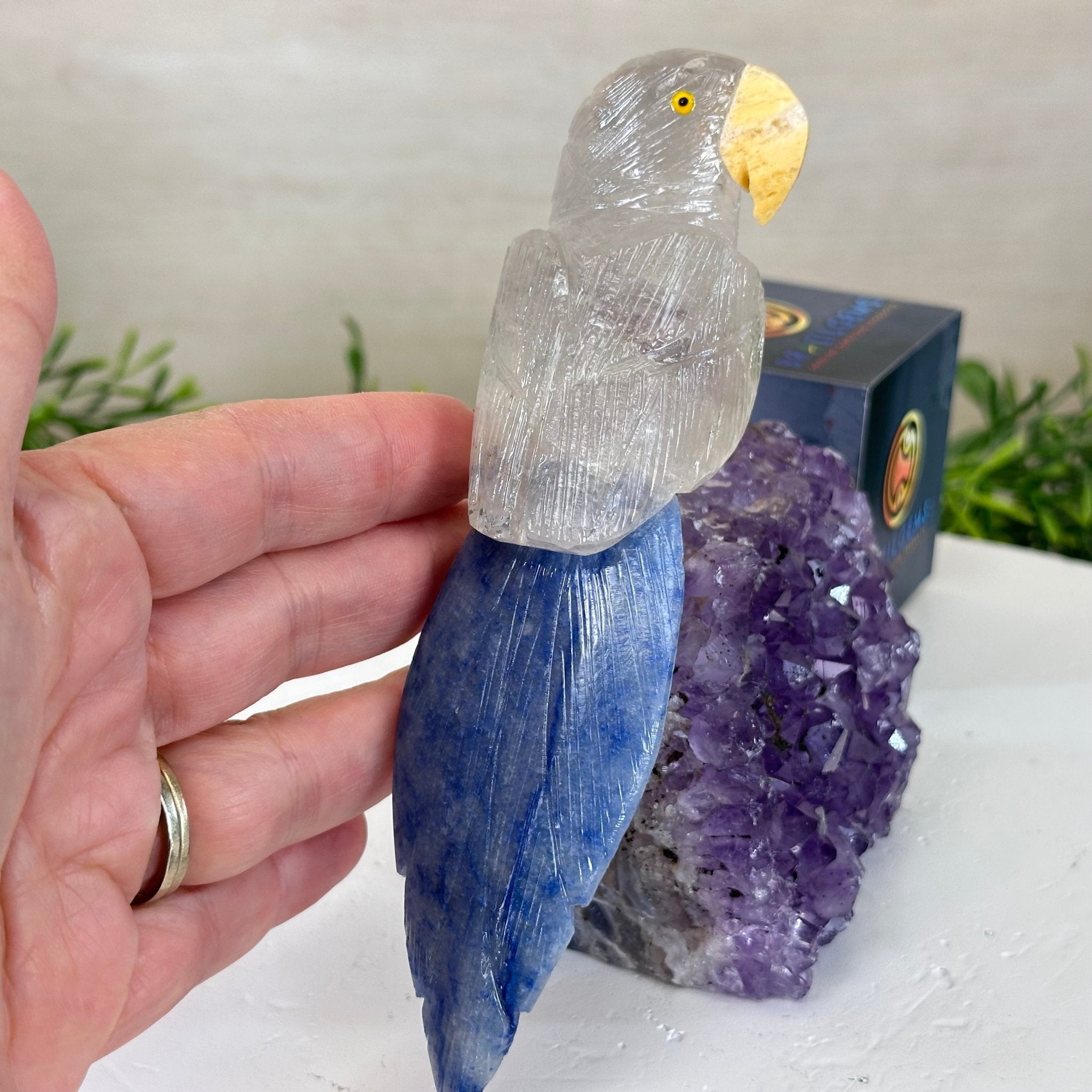 Medium Hand - Carved Clear Quartz Parrot on an Amethyst Base, 5.8" Tall #3003 - CQPAM - 017 - Brazil GemsBrazil GemsMedium Hand - Carved Clear Quartz Parrot on an Amethyst Base, 5.8" Tall #3003 - CQPAM - 017Crystal Birds3003 - CQPAM - 017