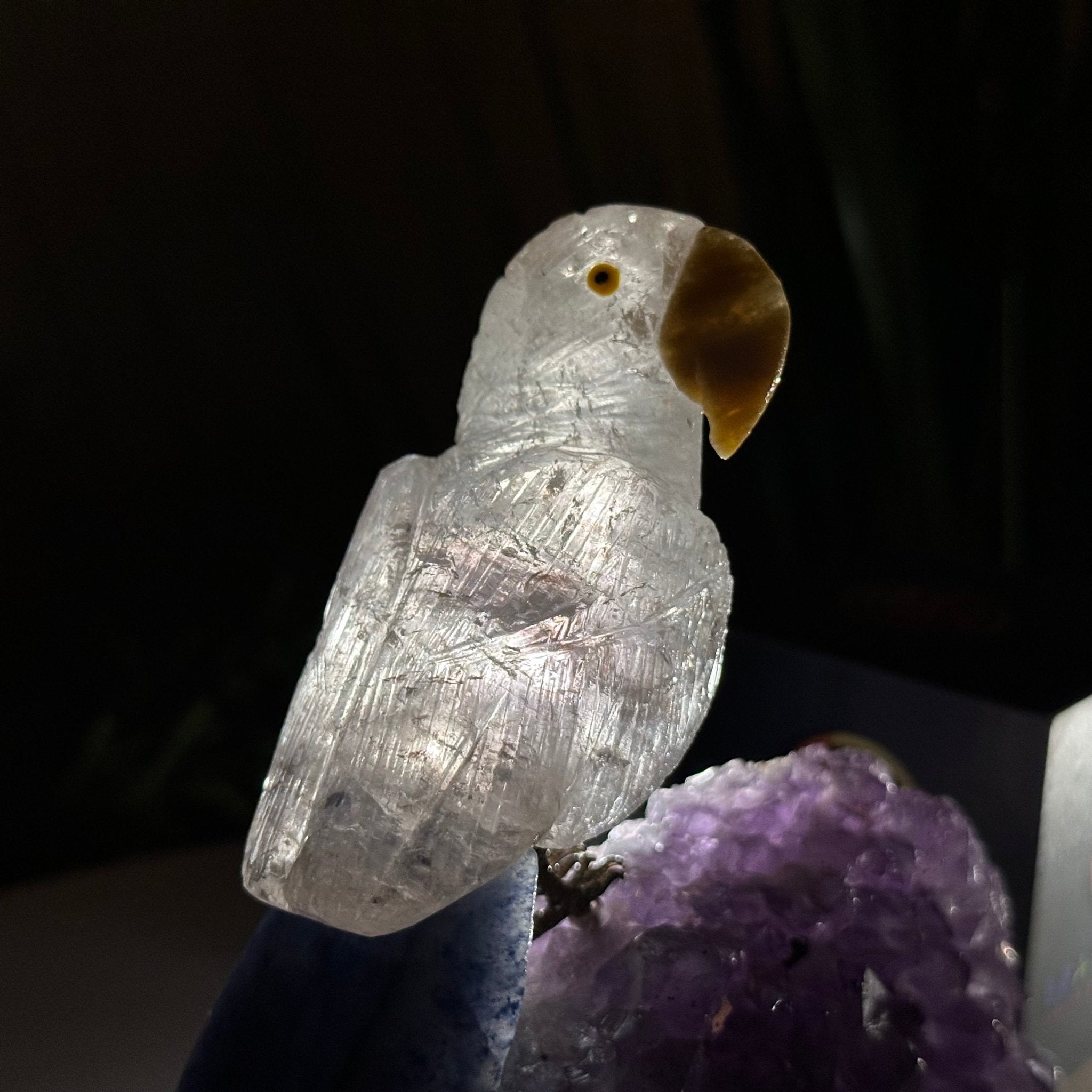 Medium Hand - Carved Clear Quartz Parrot on an Amethyst Base, 5.8" Tall #3003 - CQPAM - 017 - Brazil GemsBrazil GemsMedium Hand - Carved Clear Quartz Parrot on an Amethyst Base, 5.8" Tall #3003 - CQPAM - 017Crystal Birds3003 - CQPAM - 017