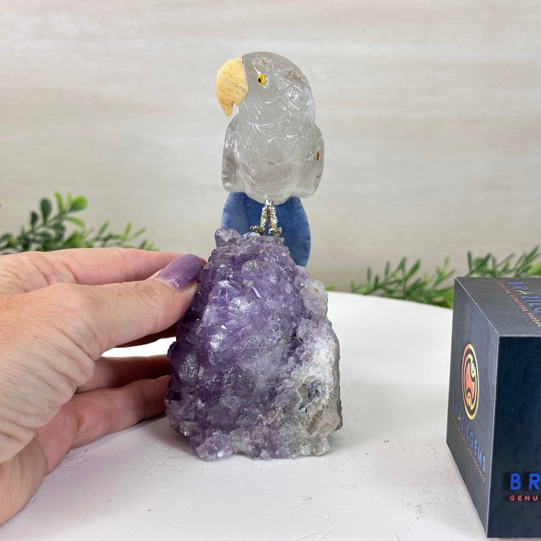 Medium Hand - Carved Clear Quartz Parrot on an Amethyst Base, 5.8" Tall #3003 - CQPAM - 017 - Brazil GemsBrazil GemsMedium Hand - Carved Clear Quartz Parrot on an Amethyst Base, 5.8" Tall #3003 - CQPAM - 017Crystal Birds3003 - CQPAM - 017