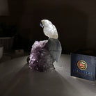 Medium Hand - Carved Clear Quartz Parrot on an Amethyst Base, 6.2" Tall #3003 - CQPAM - 015 - Brazil GemsBrazil GemsMedium Hand - Carved Clear Quartz Parrot on an Amethyst Base, 6.2" Tall #3003 - CQPAM - 015Crystal Birds3003 - CQPAM - 015