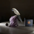 Medium Hand - Carved Clear Quartz Parrot on an Amethyst Base, 6.2" Tall #3003 - CQPAM - 015 - Brazil GemsBrazil GemsMedium Hand - Carved Clear Quartz Parrot on an Amethyst Base, 6.2" Tall #3003 - CQPAM - 015Crystal Birds3003 - CQPAM - 015