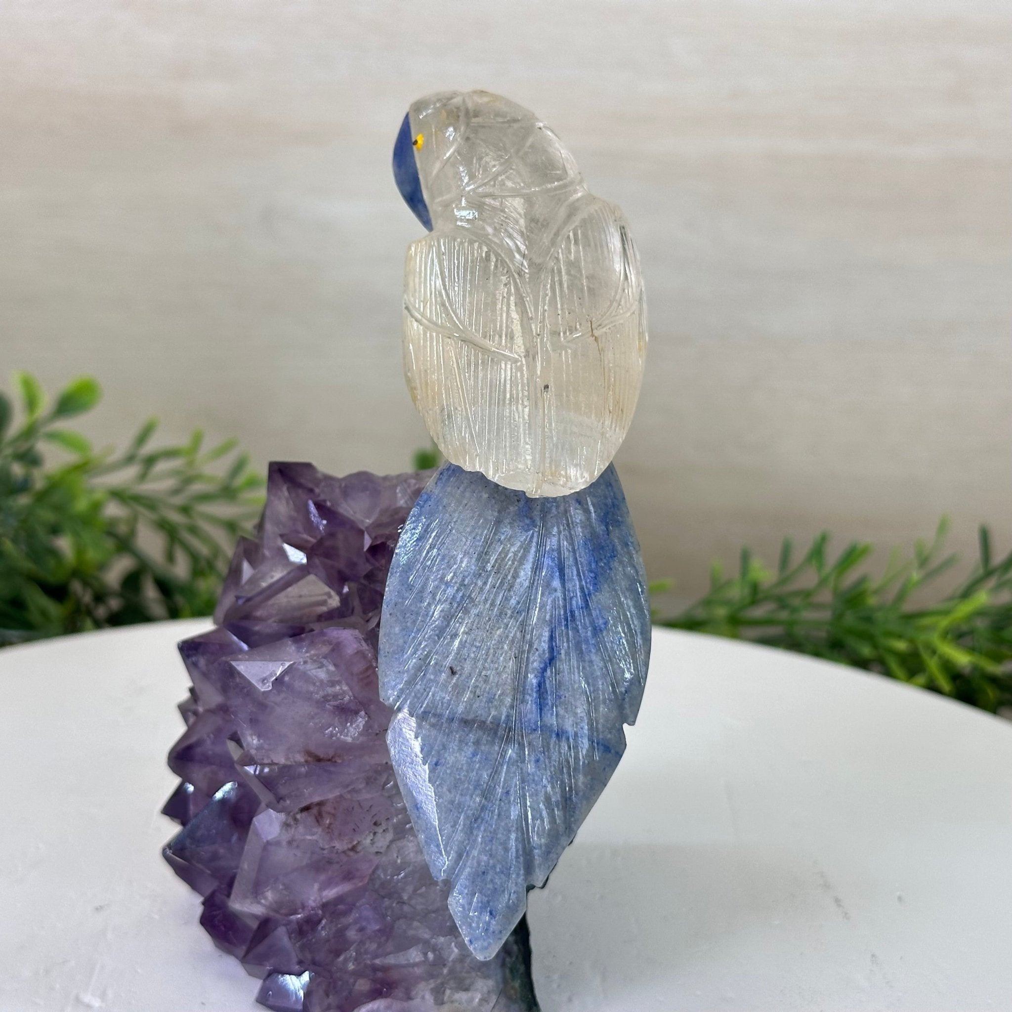 Medium Hand - Carved Clear Quartz Parrot on an Amethyst Base, 6.2" Tall #3003 - CQPAM - 015 - Brazil GemsBrazil GemsMedium Hand - Carved Clear Quartz Parrot on an Amethyst Base, 6.2" Tall #3003 - CQPAM - 015Crystal Birds3003 - CQPAM - 015