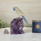 Medium Hand - Carved Clear Quartz Parrot on an Amethyst Base, 6.2" Tall #3003 - CQPAM - 015 - Brazil GemsBrazil GemsMedium Hand - Carved Clear Quartz Parrot on an Amethyst Base, 6.2" Tall #3003 - CQPAM - 015Crystal Birds3003 - CQPAM - 015