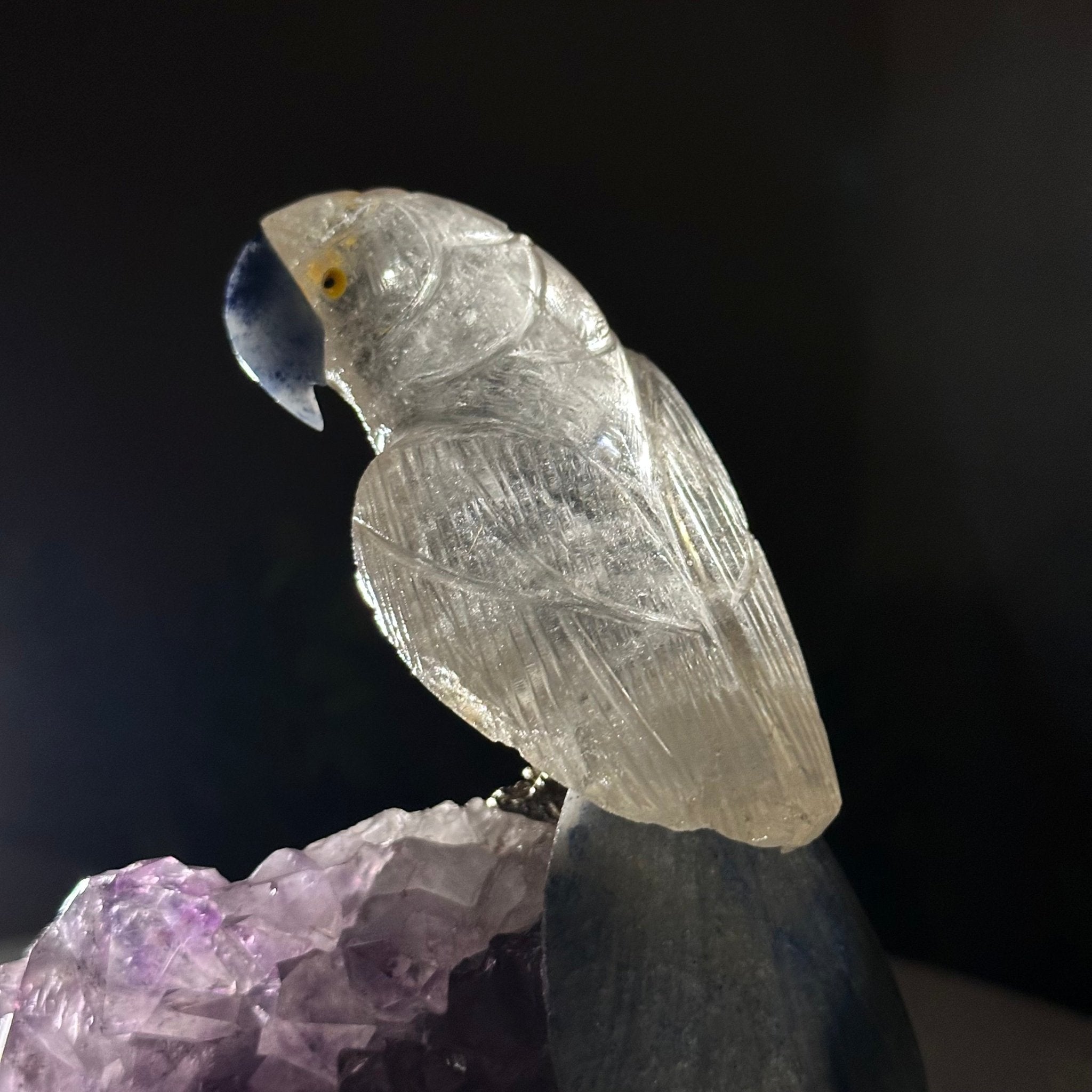 Medium Hand - Carved Clear Quartz Parrot on an Amethyst Base, 6.2" Tall #3003 - CQPAM - 015 - Brazil GemsBrazil GemsMedium Hand - Carved Clear Quartz Parrot on an Amethyst Base, 6.2" Tall #3003 - CQPAM - 015Crystal Birds3003 - CQPAM - 015