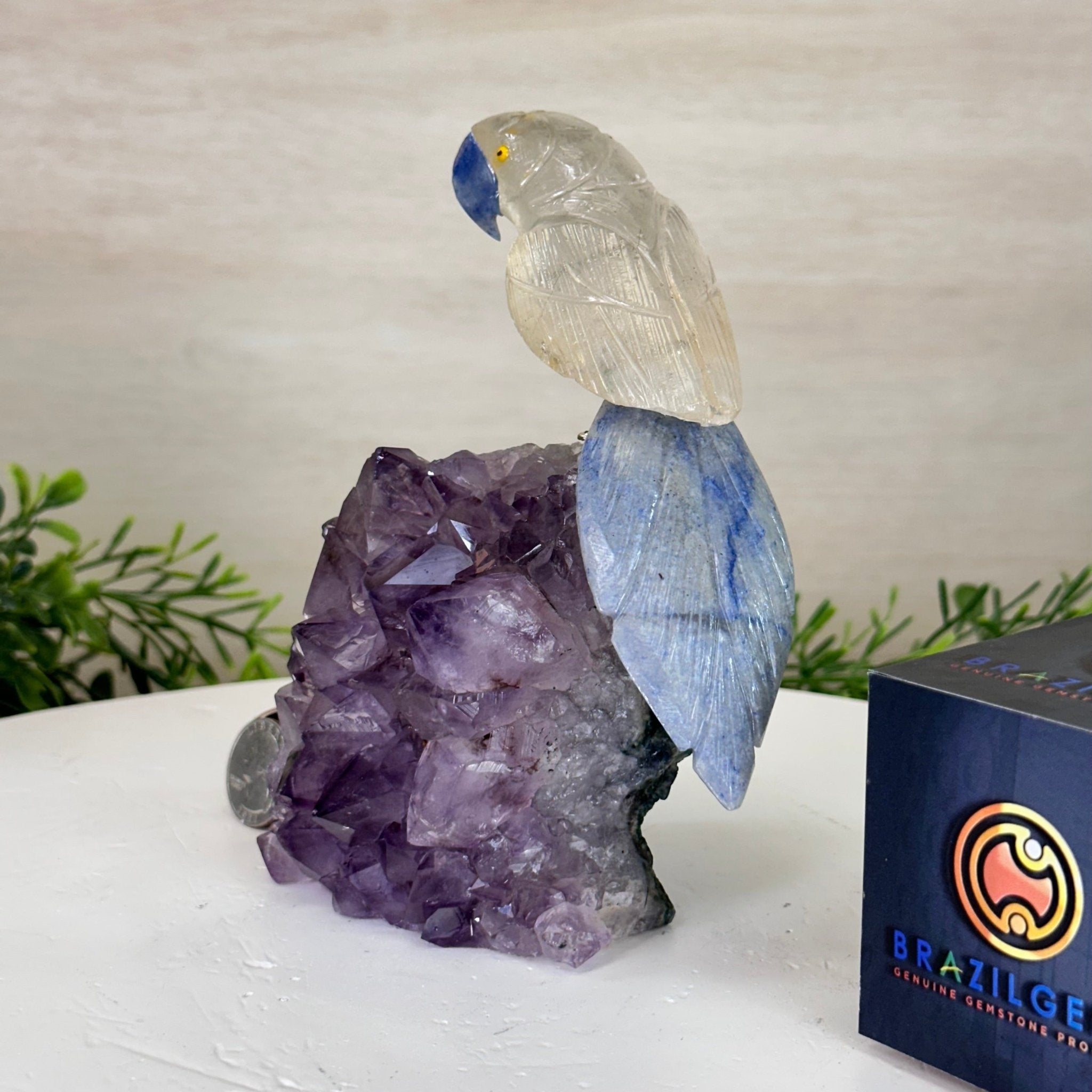 Medium Hand - Carved Clear Quartz Parrot on an Amethyst Base, 6.2" Tall #3003 - CQPAM - 015 - Brazil GemsBrazil GemsMedium Hand - Carved Clear Quartz Parrot on an Amethyst Base, 6.2" Tall #3003 - CQPAM - 015Crystal Birds3003 - CQPAM - 015