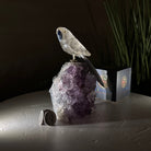 Medium Hand - Carved Clear Quartz Parrot on an Amethyst Base, 6.2" Tall #3003 - CQPAM - 015 - Brazil GemsBrazil GemsMedium Hand - Carved Clear Quartz Parrot on an Amethyst Base, 6.2" Tall #3003 - CQPAM - 015Crystal Birds3003 - CQPAM - 015