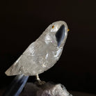 Medium Hand - Carved Clear Quartz Parrot on an Amethyst Base, 6.2" Tall #3003 - CQPAM - 018 - Brazil GemsBrazil GemsMedium Hand - Carved Clear Quartz Parrot on an Amethyst Base, 6.2" Tall #3003 - CQPAM - 018Crystal Birds3003 - CQPAM - 018